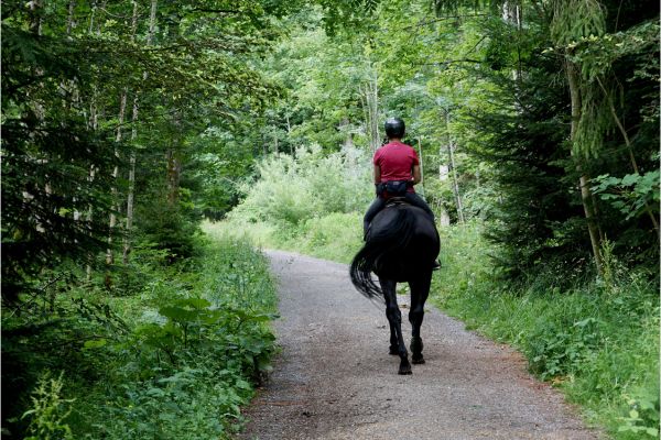 Nature Trails